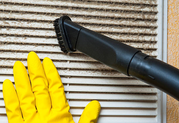 Best HVAC Air Duct Cleaning  in Jacinto City, TX